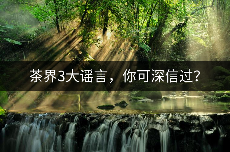 茶界3大謠言，你可深信過？