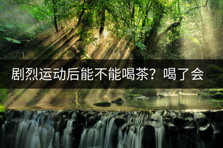 劇烈運(yùn)動(dòng)后能不能喝茶？喝了會(huì)有什么不適？