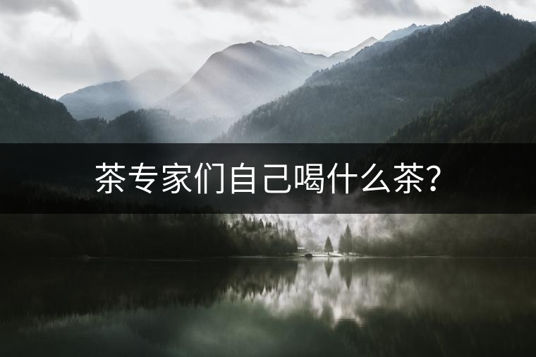 茶專家們自己喝什么茶？