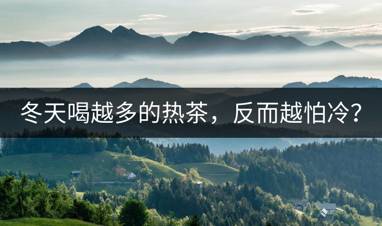 冬天喝越多的熱茶，反而越怕冷？
