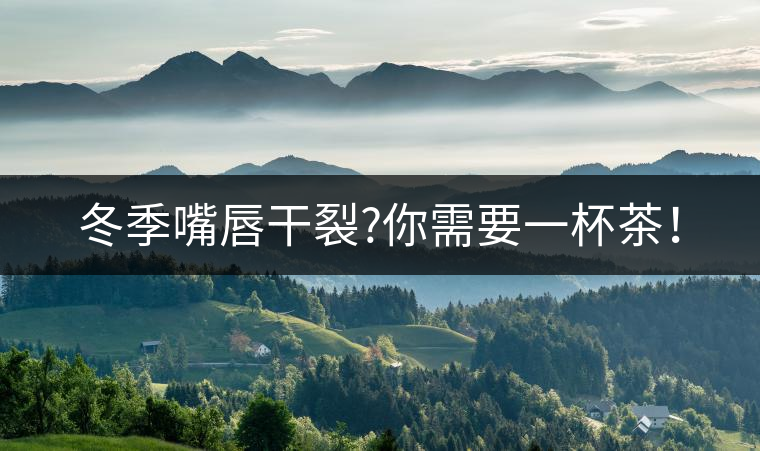 冬季嘴唇干裂?你需要一杯茶！