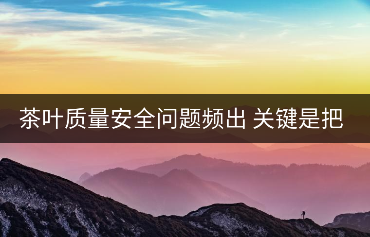 茶葉質(zhì)量安全問題頻出 關(guān)鍵是把控源頭 茶葉質(zhì)量安全問題頻出 關(guān)鍵是把控源頭