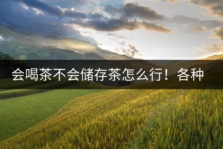 會喝茶不會儲存茶怎么行！各種存茶方法與技巧，把茶香留住