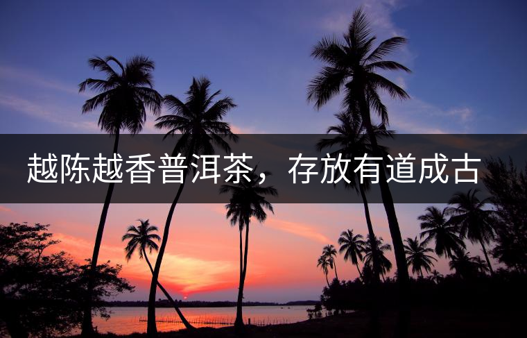 越陳越香普洱茶，存放有道成古董