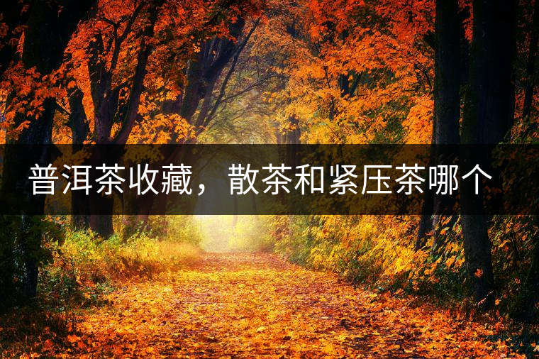 普洱茶收藏，散茶和緊壓茶哪個更好？