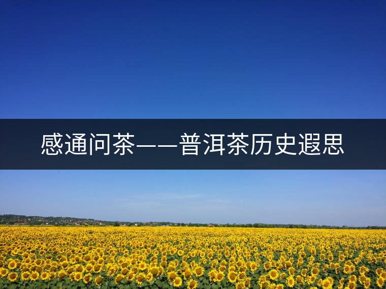 感通問(wèn)茶——普洱茶歷史遐思 感通問(wèn)茶——普洱茶歷史遐思