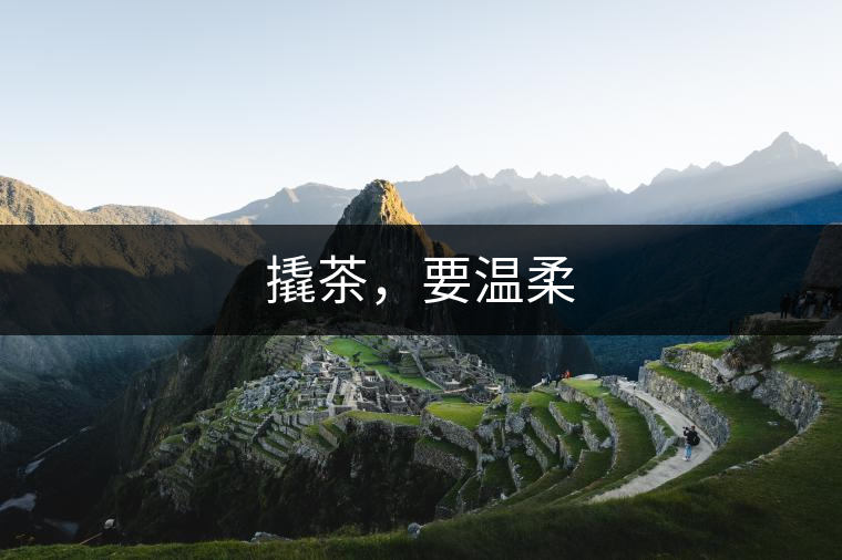 撬茶，要溫柔