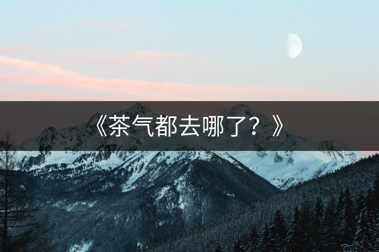 《茶氣都去哪了？》