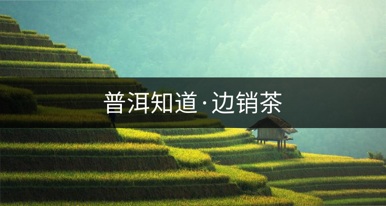普洱知道·邊銷(xiāo)茶 普洱知道·邊銷(xiāo)茶