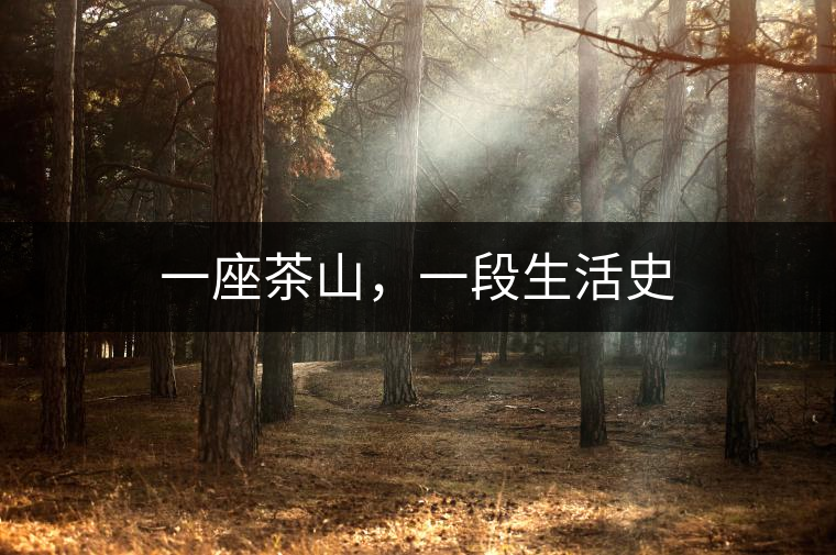 一座茶山，一段生活史