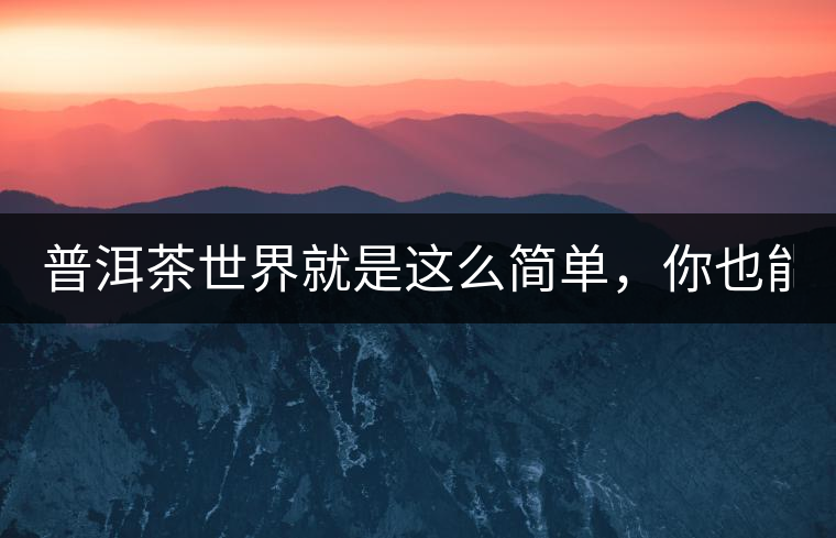 普洱茶世界就是這么簡單，你也能懂！