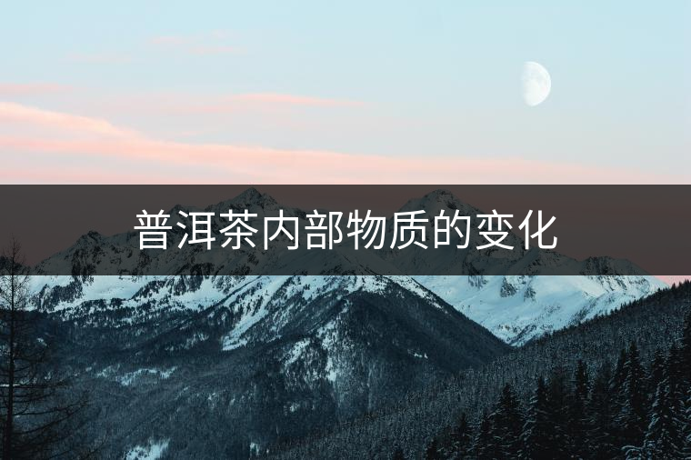 普洱茶內(nèi)部物質(zhì)的變化 普洱茶內(nèi)部物質(zhì)的變化