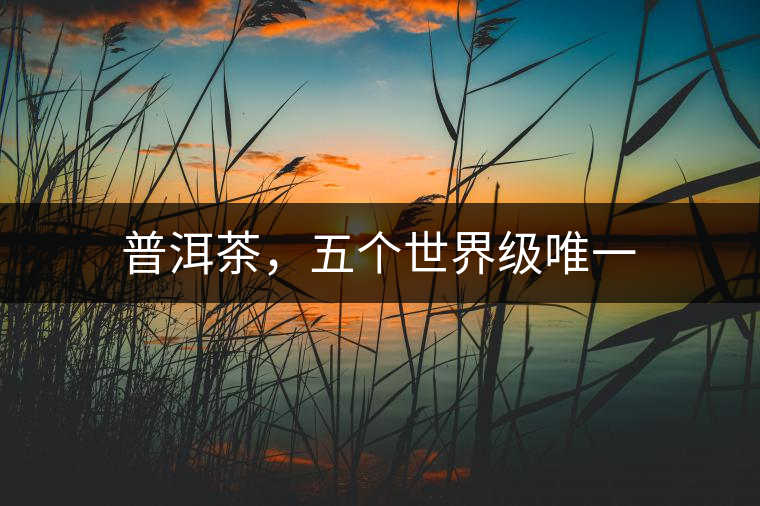 普洱茶，五個(gè)世界級(jí)唯一