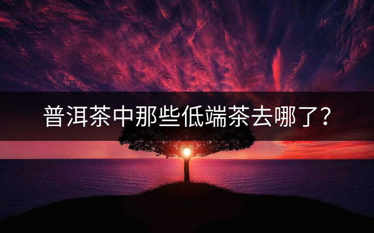 普洱茶中那些低端茶去哪了? 普洱茶中那些低端茶去哪了?