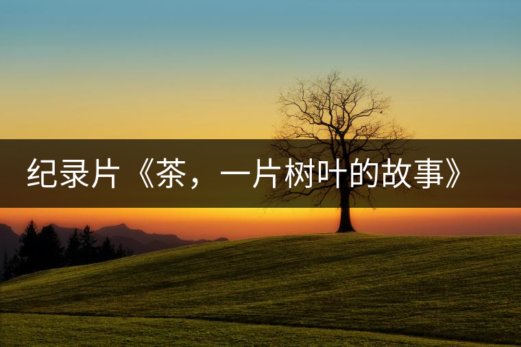 紀(jì)錄片《茶，一片樹葉的故事》 茶文化的詩(shī)意追尋