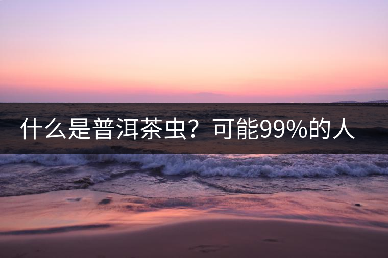 什么是普洱茶蟲(chóng)？可能99%的人都不知道