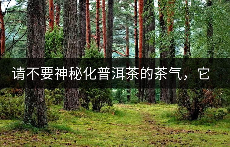 請(qǐng)不要神秘化普洱茶的茶氣，它是科學(xué)的存在