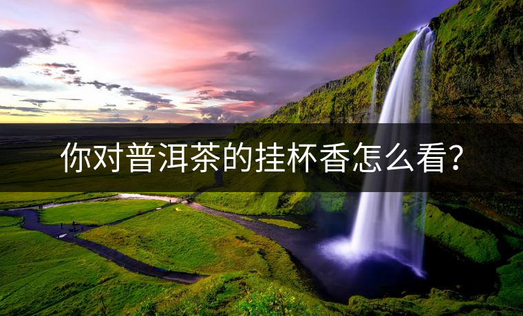 你對(duì)普洱茶的掛杯香怎么看？