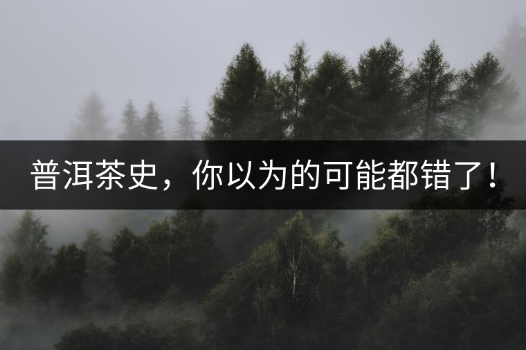 普洱茶史，你以為的可能都錯(cuò)了！