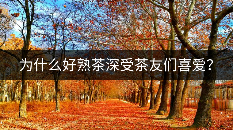為什么好熟茶深受茶友們喜愛？