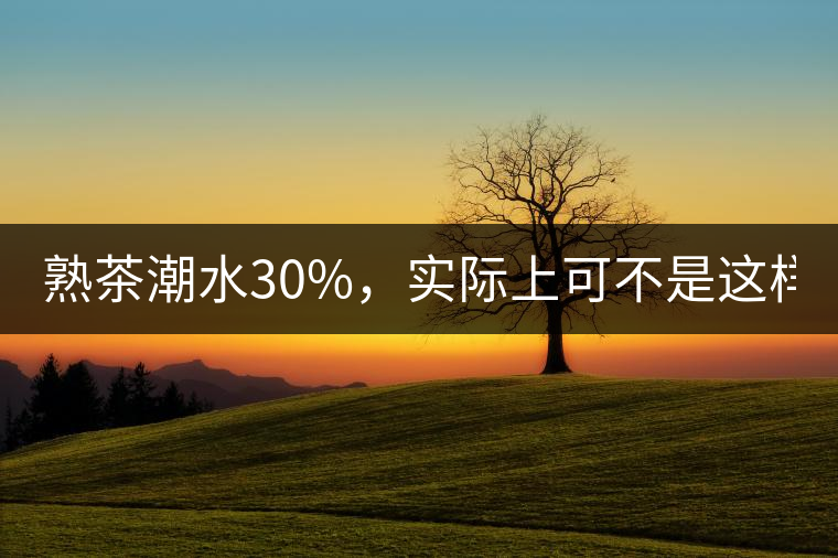 熟茶潮水30%，實(shí)際上可不是這樣！
