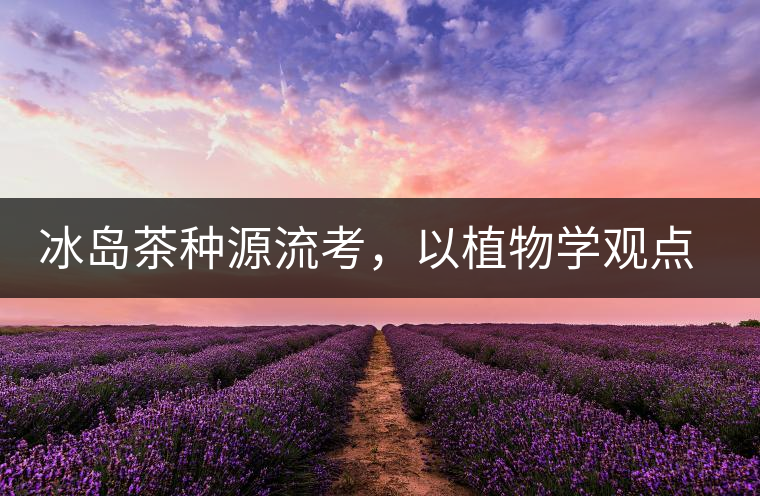 冰島茶種源流考，以植物學(xué)觀點(diǎn)解讀冰島茶