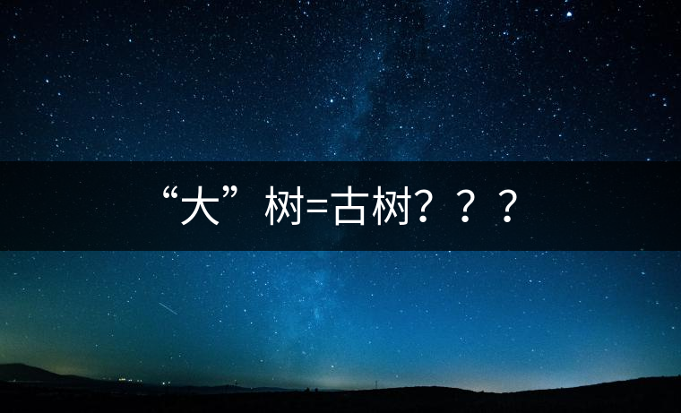 “大”樹(shù)=古樹(shù)？？？