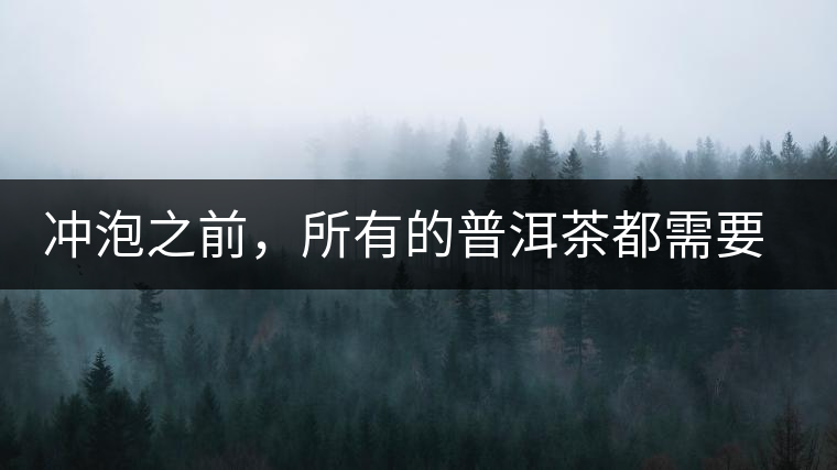 沖泡之前，所有的普洱茶都需要醒茶嗎？