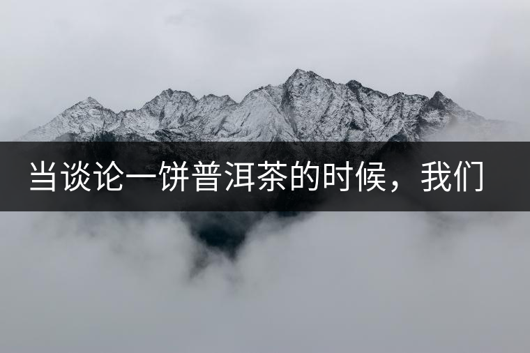 當談論一餅普洱茶的時候，我們該談些什么？