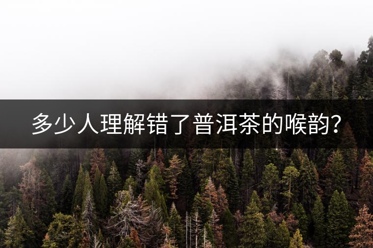 多少人理解錯(cuò)了普洱茶的喉韻？