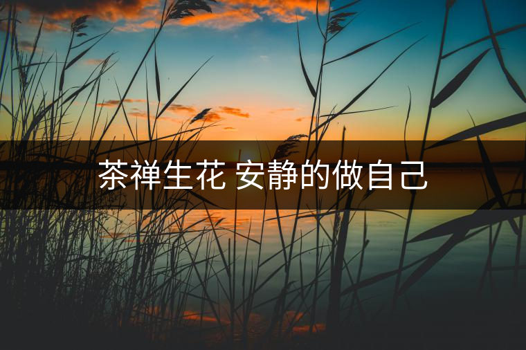 茶禪生花 安靜的做自己 茶禪生花 安靜的做自己