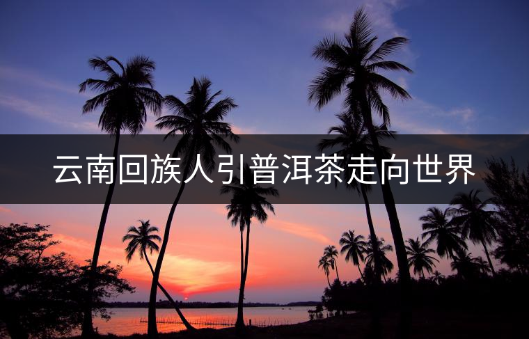 云南回族人引普洱茶走向世界 云南回族人引普洱茶走向世界