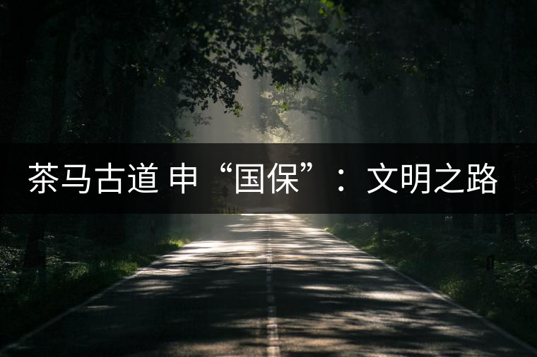 茶馬古道 申“國(guó)?！保何拿髦返脑侔l(fā)現(xiàn)