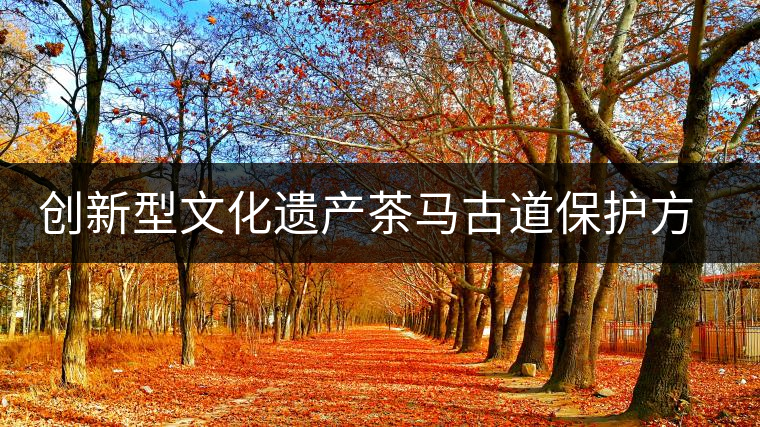 創(chuàng)新型文化遺產(chǎn)茶馬古道保護方式更加完善 創(chuàng)新型文化遺產(chǎn)茶馬古道保護方式更加完善