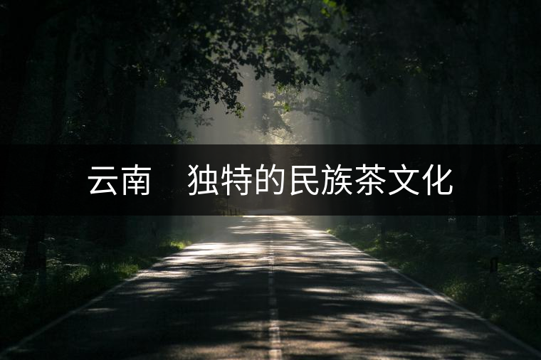 云南　獨(dú)特的民族茶文化