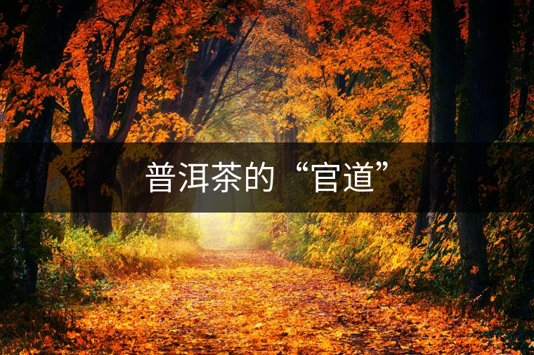 普洱茶的“官道” 普洱茶的“官道”