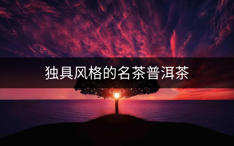 獨(dú)具風(fēng)格的名茶普洱茶 獨(dú)具風(fēng)格的名茶普洱茶
