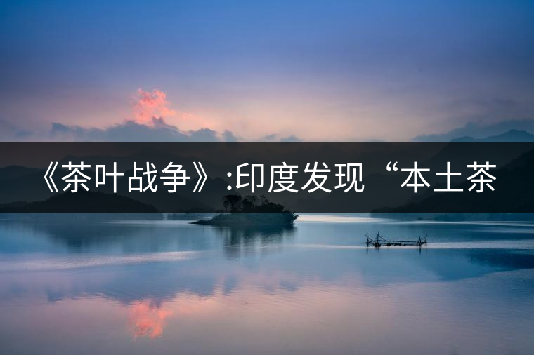 《茶葉戰(zhàn)爭(zhēng)》:印度發(fā)現(xiàn)“本土茶樹(shù)”