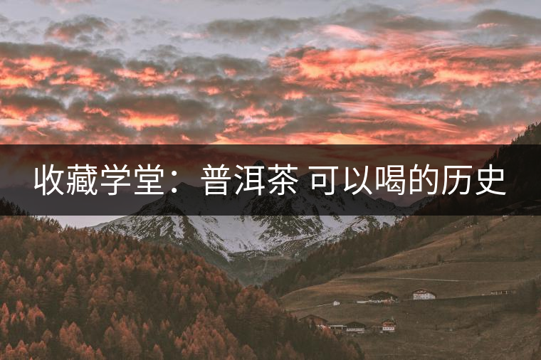 收藏學(xué)堂:普洱茶 可以喝的歷史 收藏學(xué)堂:普洱茶 可以喝的歷史