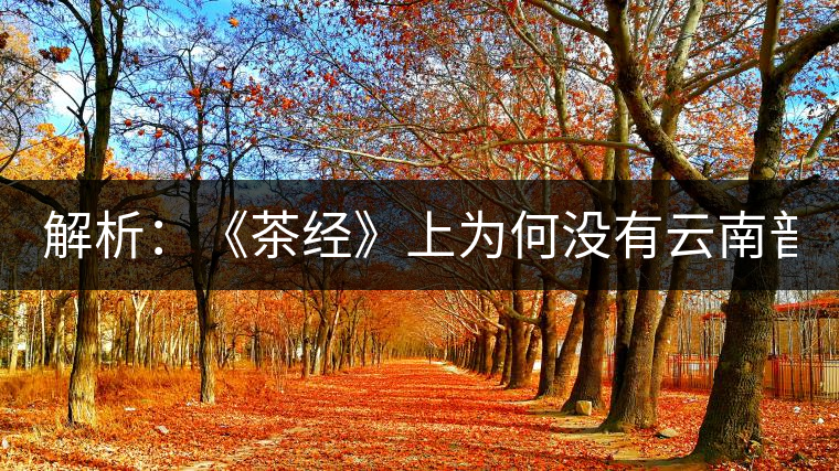 解析：《茶經》上為何沒有云南普洱茶 ？
