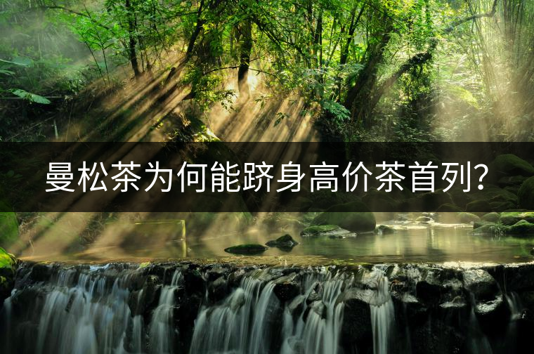 曼松茶為何能躋身高價(jià)茶首列? 曼松茶為何能躋身高價(jià)茶首列?