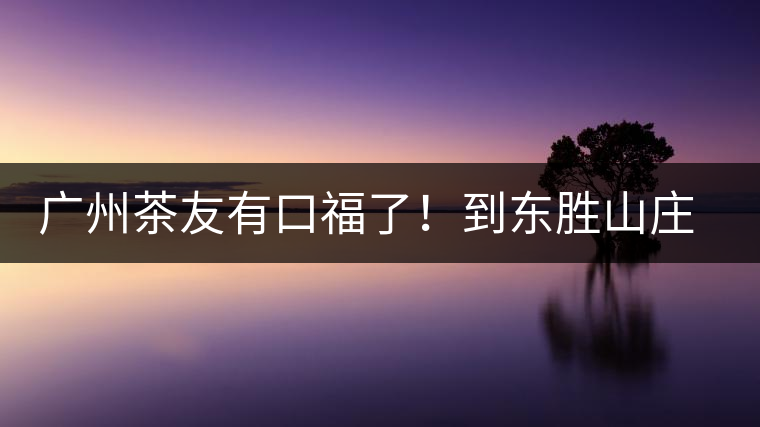 廣州茶友有口福了！到東勝山莊吃“普洱雞”去——
