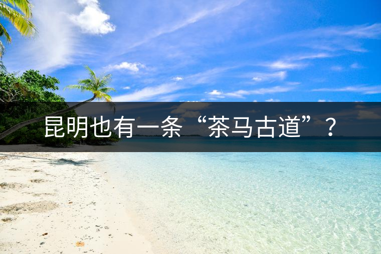 昆明也有一條“茶馬古道”？