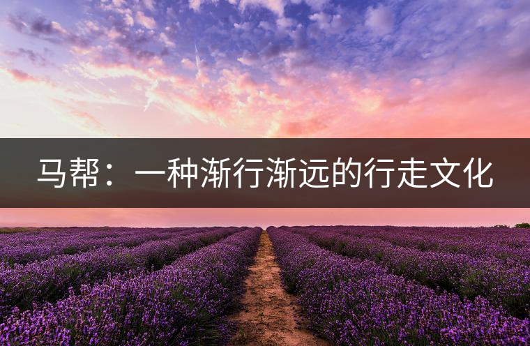 馬幫:一種漸行漸遠(yuǎn)的行走文化 馬幫:一種漸行漸遠(yuǎn)的行走文化