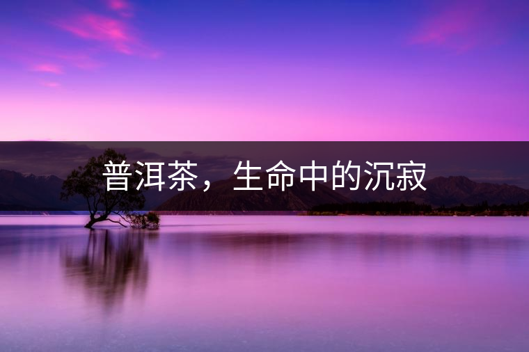 普洱茶，生命中的沉寂