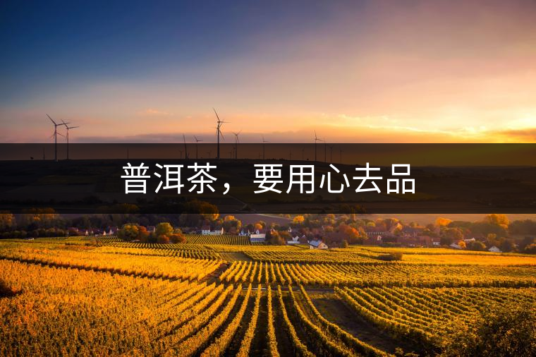 普洱茶，要用心去品