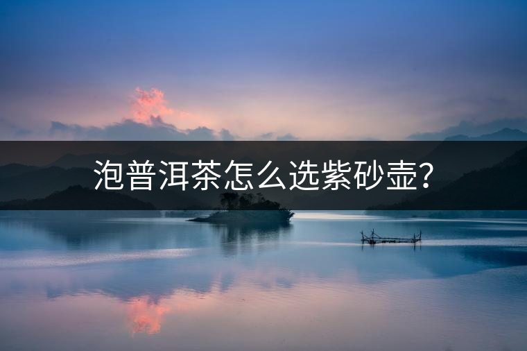 泡普洱茶怎么選紫砂壺？