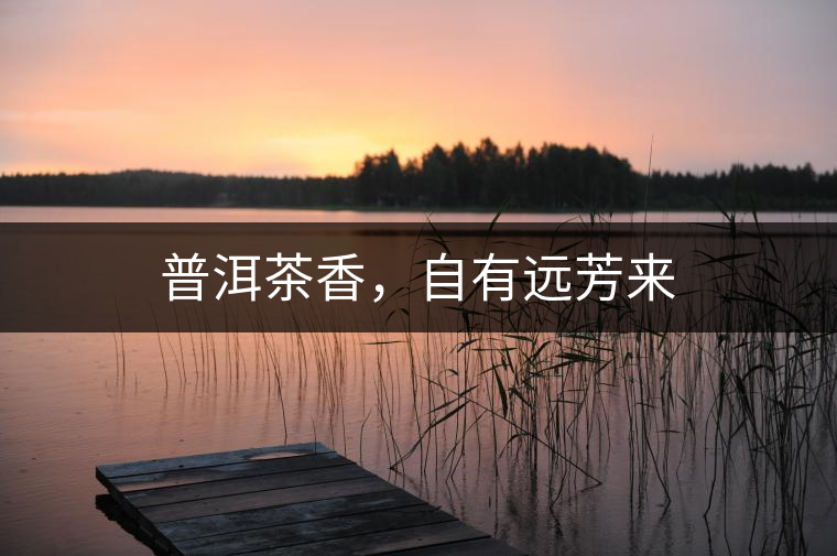 普洱茶香，自有遠(yuǎn)芳來