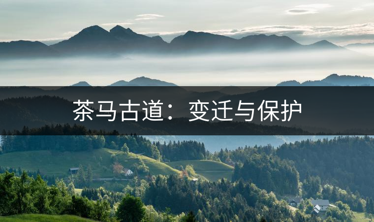 茶馬古道：變遷與保護