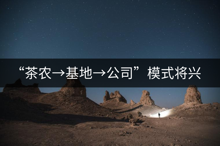 “茶農(nóng)→基地→公司”模式將興 “茶農(nóng)→基地→公司”模式將興
